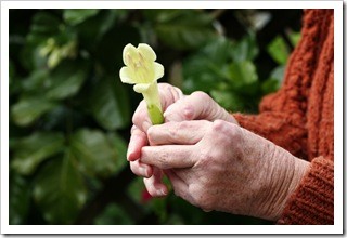 Arthritis Pain Relief Amarillo TX