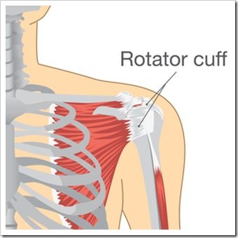 Shoulder Pain Amarillo TX Rotator Cuff Injury